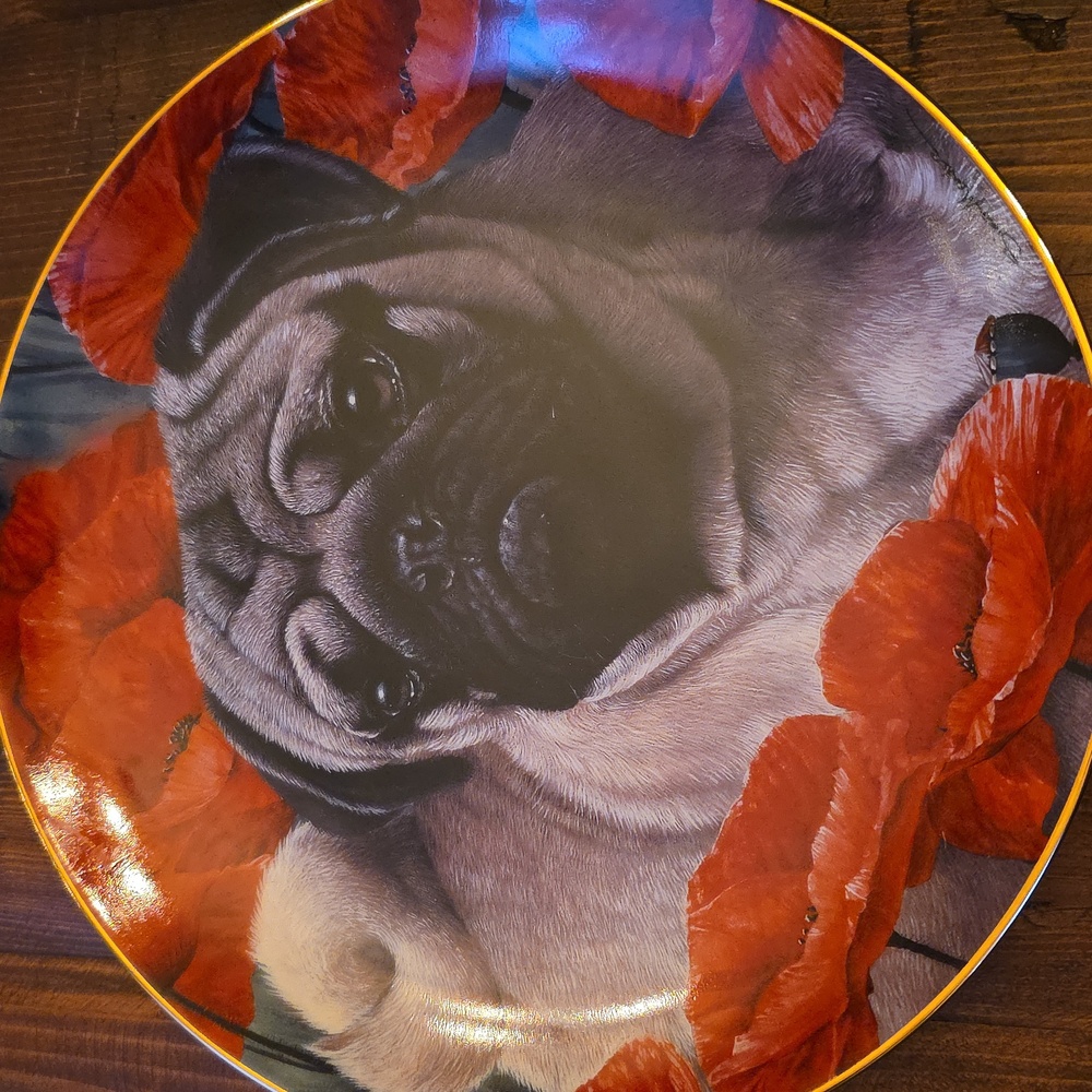 Danbury Mint Poppy Love Pug Plate By Simon Mendez Limited Edition